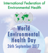 environmental health essay