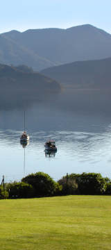 Spotlight on New Zealand